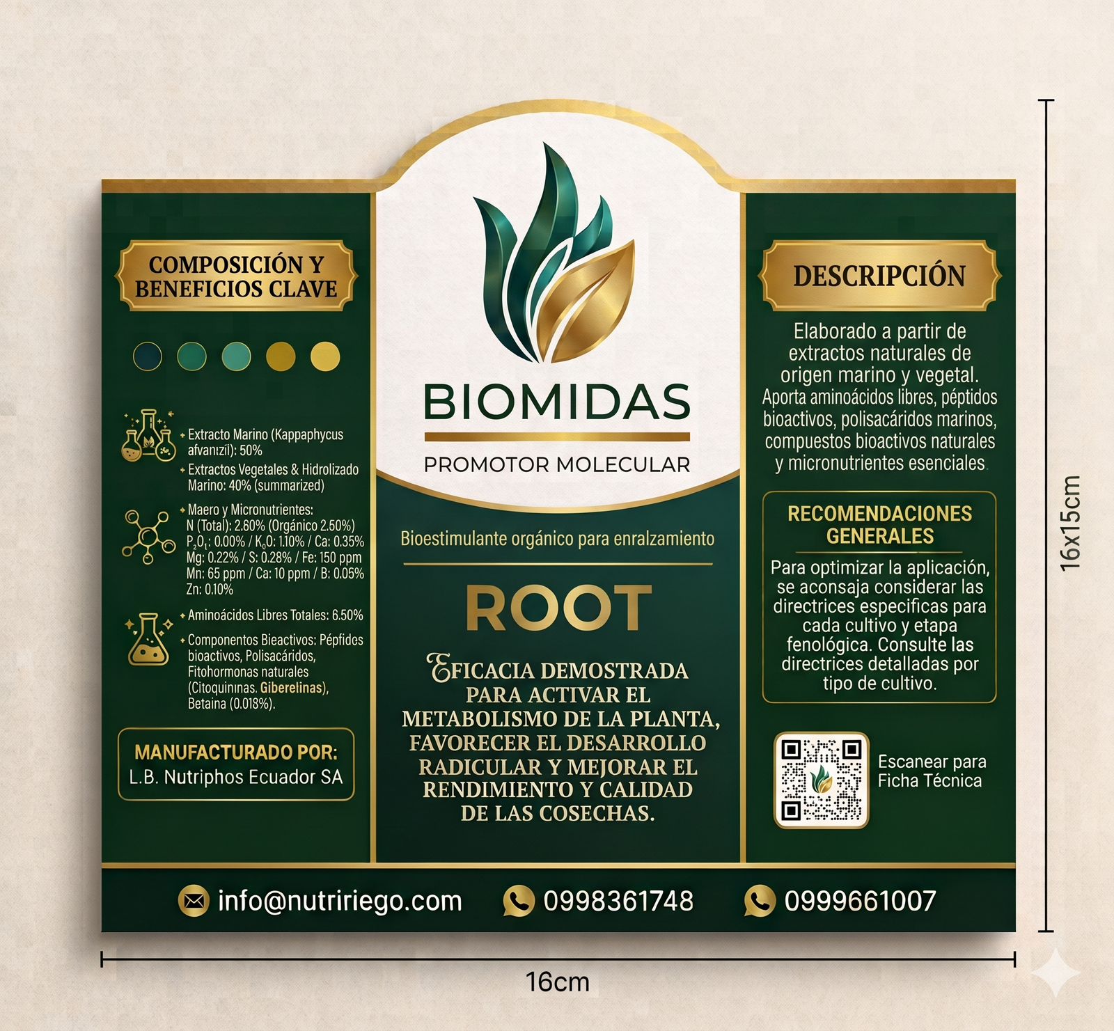 BioMidas ROOT