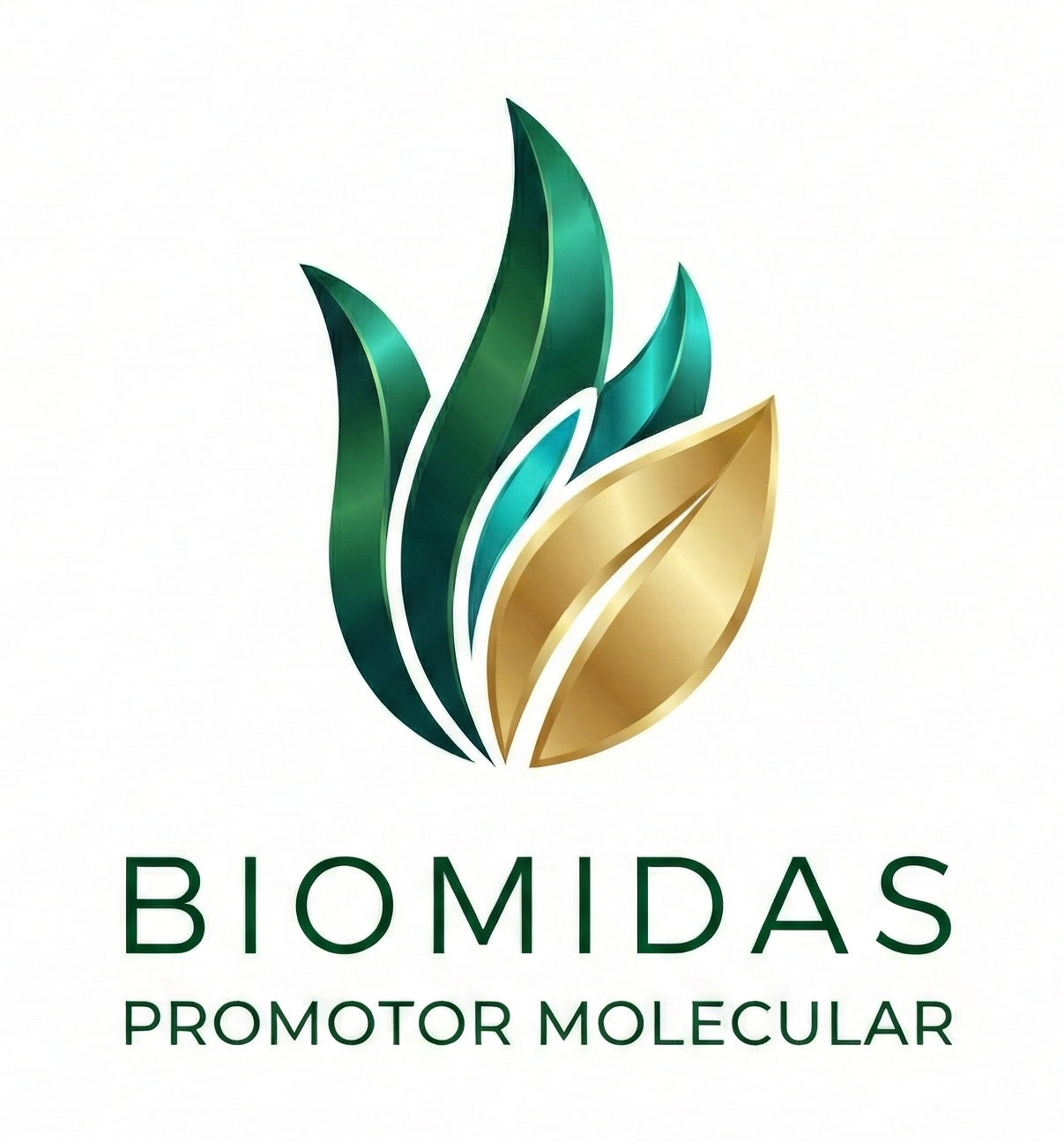 Biomidas PM